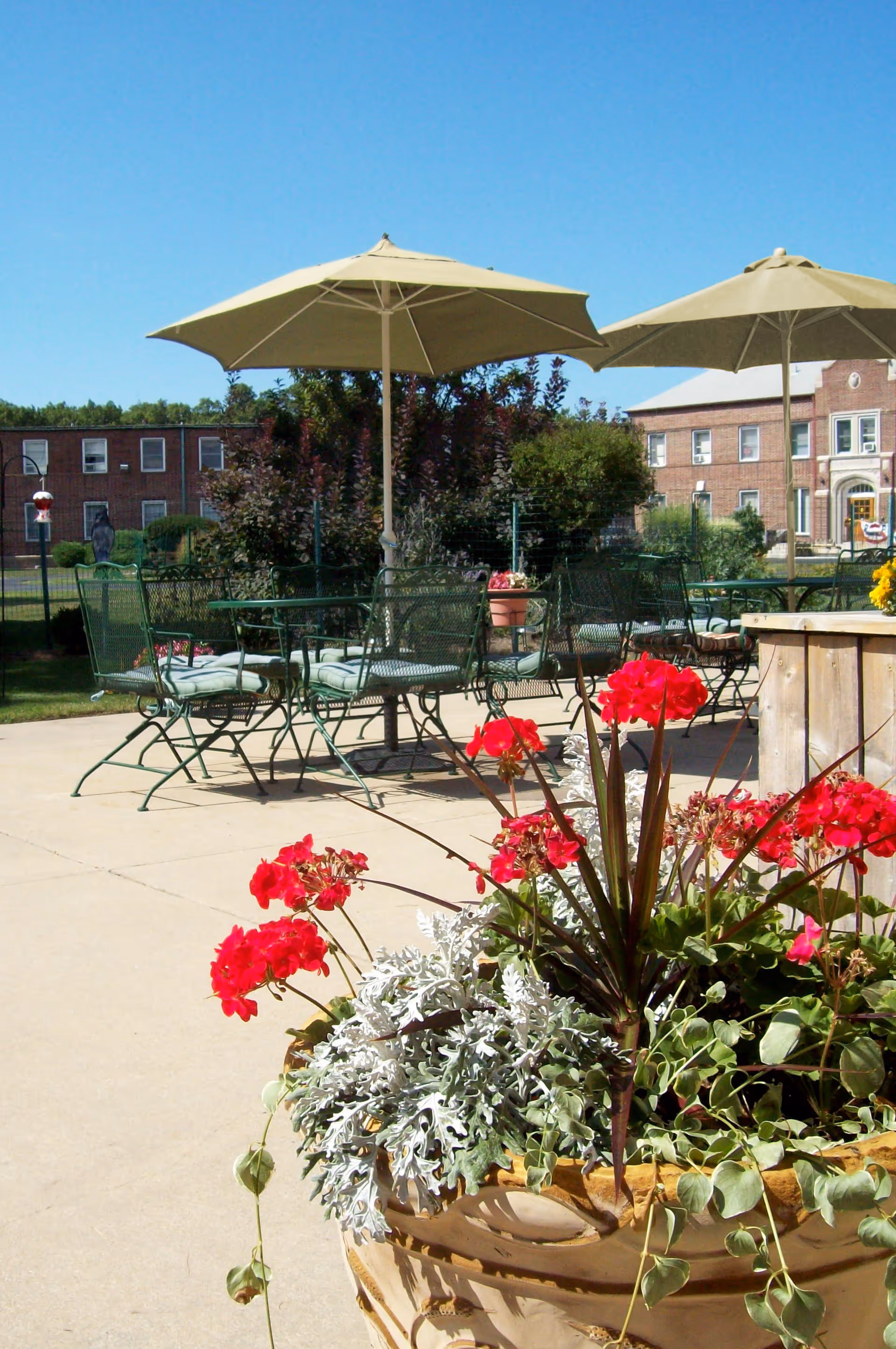 Outdoor patio area with green metal tables and chairs under large beige umbrellas. In the foreground, there is a large planter filled with red flowers and various green and silver foliage. In the background, there are brick buildings and a clear blue sky.