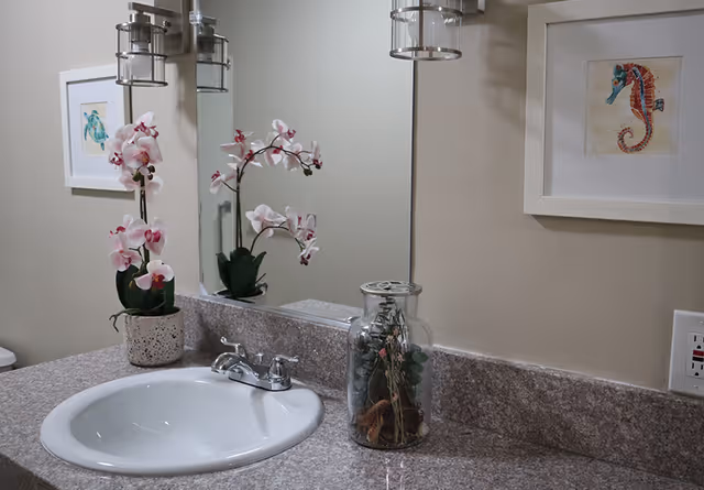 Bathroom vanity with a sink and faucet on a granite countertop, decorated with a potted orchid, a glass jar, a mirror, and framed seahorse artwork.