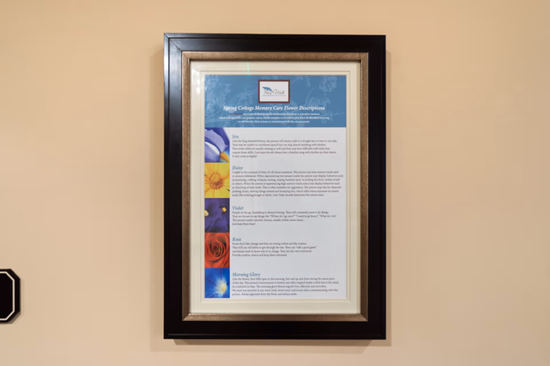 A framed informational poster about memory care flower descriptions hanging on a beige interior wall.
