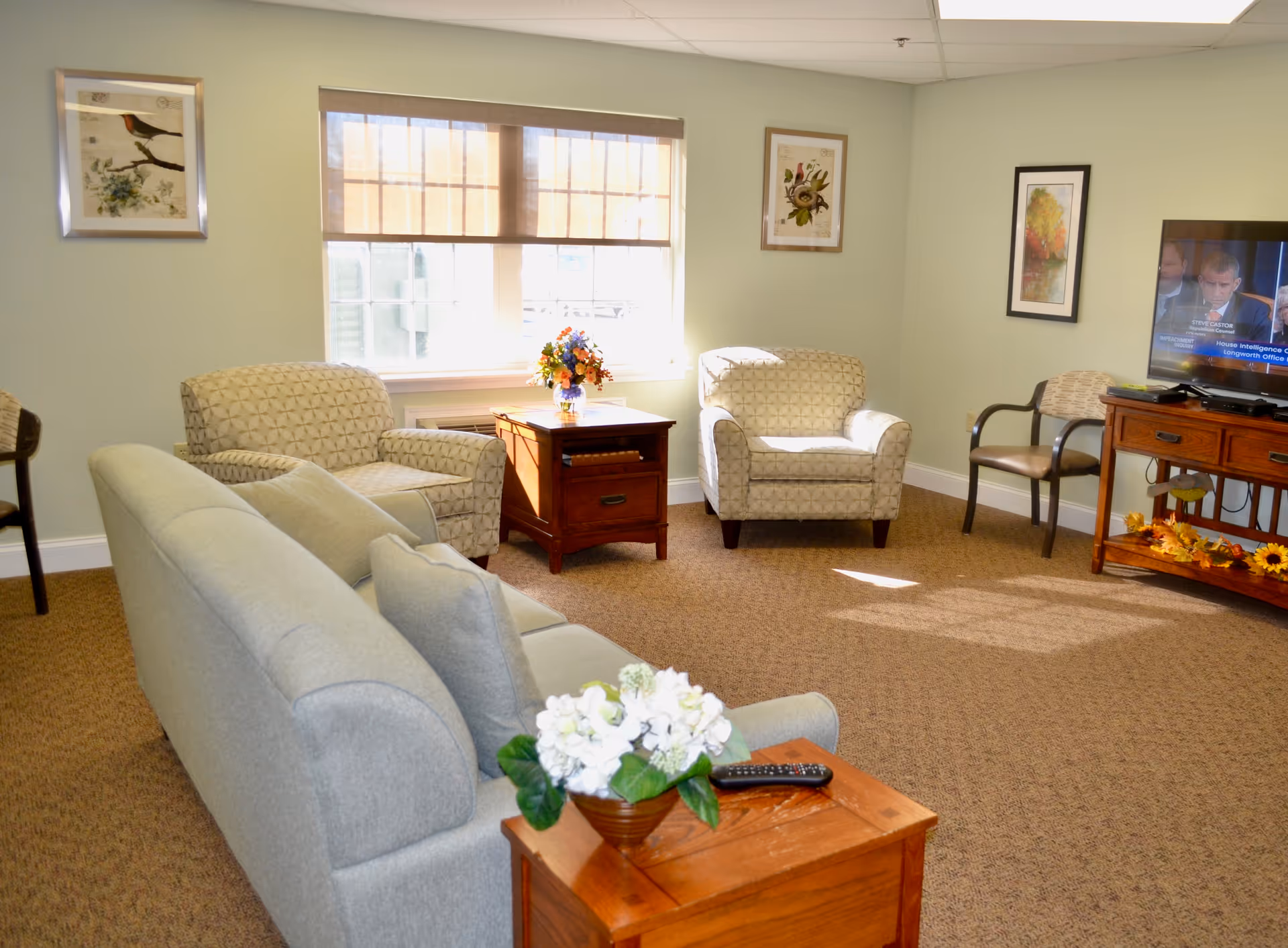 Sunlit communal living room with sofas, armchairs, a TV, and wooden side tables.