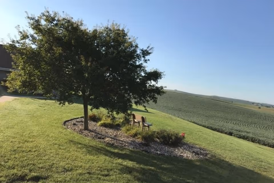 A tree shading two chairs on a grassy lawn overlooking rolling farm fields under a clear blue sky.