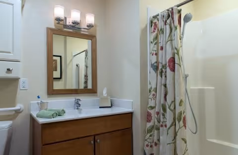 Bathroom with a wooden vanity and mirror under a three-light fixture beside a shower stall with a floral shower curtain and handheld shower head.