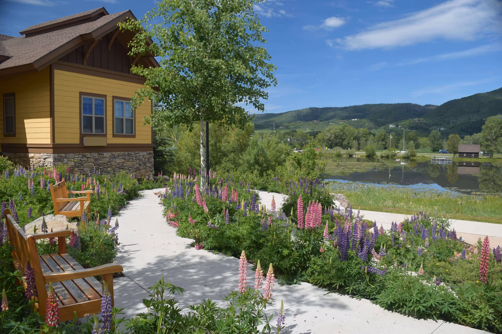 A landscaped outdoor walkway with benches and lupine flowers beside a yellow building overlooking a pond and hills.