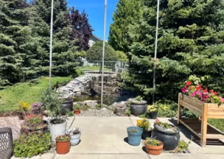 Outdoor garden area with various potted plants arranged on a concrete patio. There are tall evergreen trees and other green shrubs surrounding a small rock waterfall feature with a metal railing above it. A raised wooden planter box with colorful flowers is on the right side.