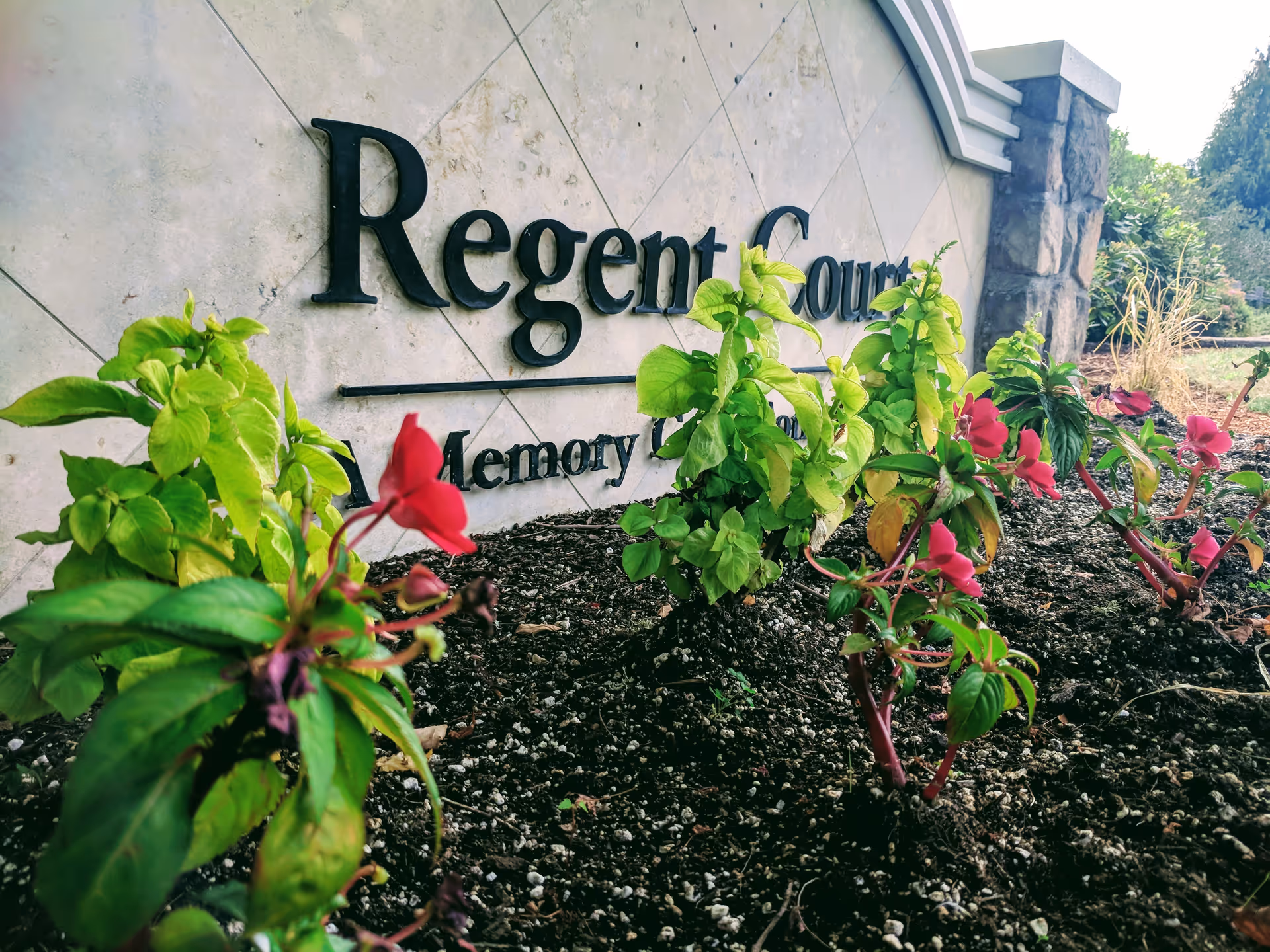 Close-up view of a garden bed with green plants and pink flowers in front of a stone wall sign that reads 'Regent Court Memory Care'.