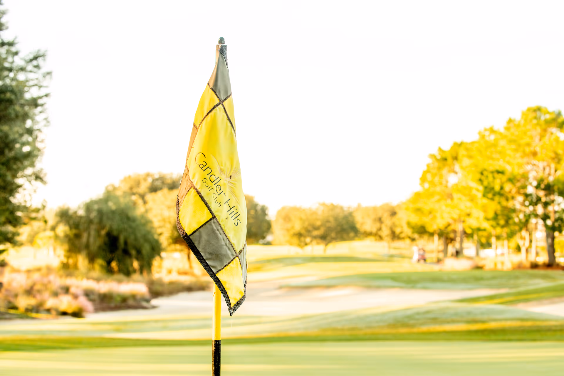 A yellow and gray golf flag on a putting green with a sunlit golf course and trees in the background.