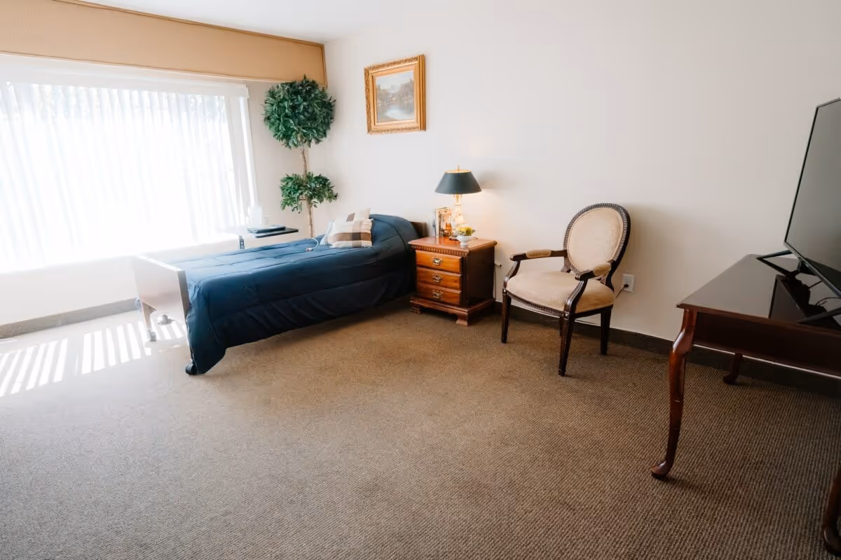 A bright and clean bedroom in a senior living facility with a single bed covered in a dark blue blanket, a wooden nightstand with a lamp and decorative items, a cushioned armchair, a flat-screen TV on a wooden table, a large window with sheer curtains, and a potted artificial tree in the corner.