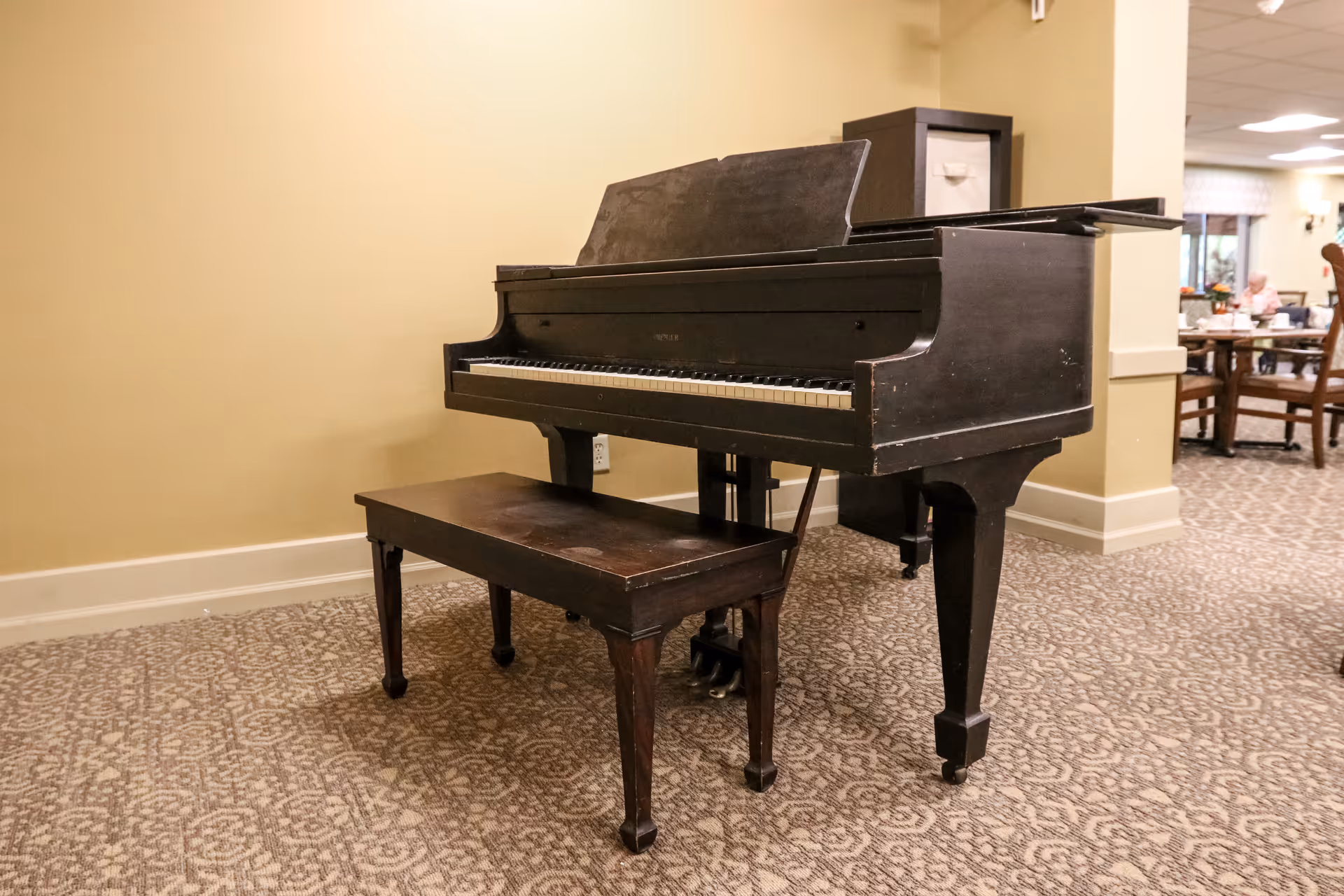 A dark wooden grand piano with a matching bench placed on a patterned carpet in a room with beige walls. In the background, there is a dining area with tables and chairs, and a person sitting at one of the tables.