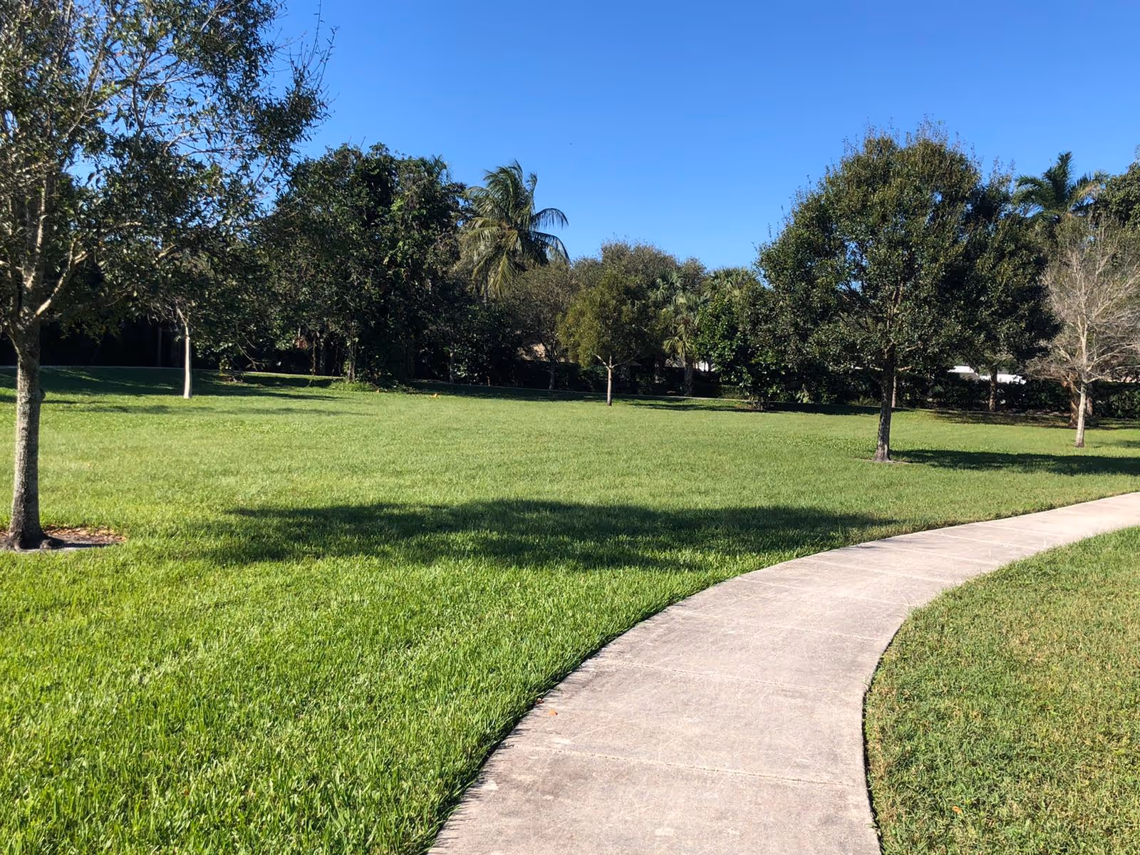 A curved concrete pathway runs through a well-maintained grassy area with several trees under a clear blue sky.