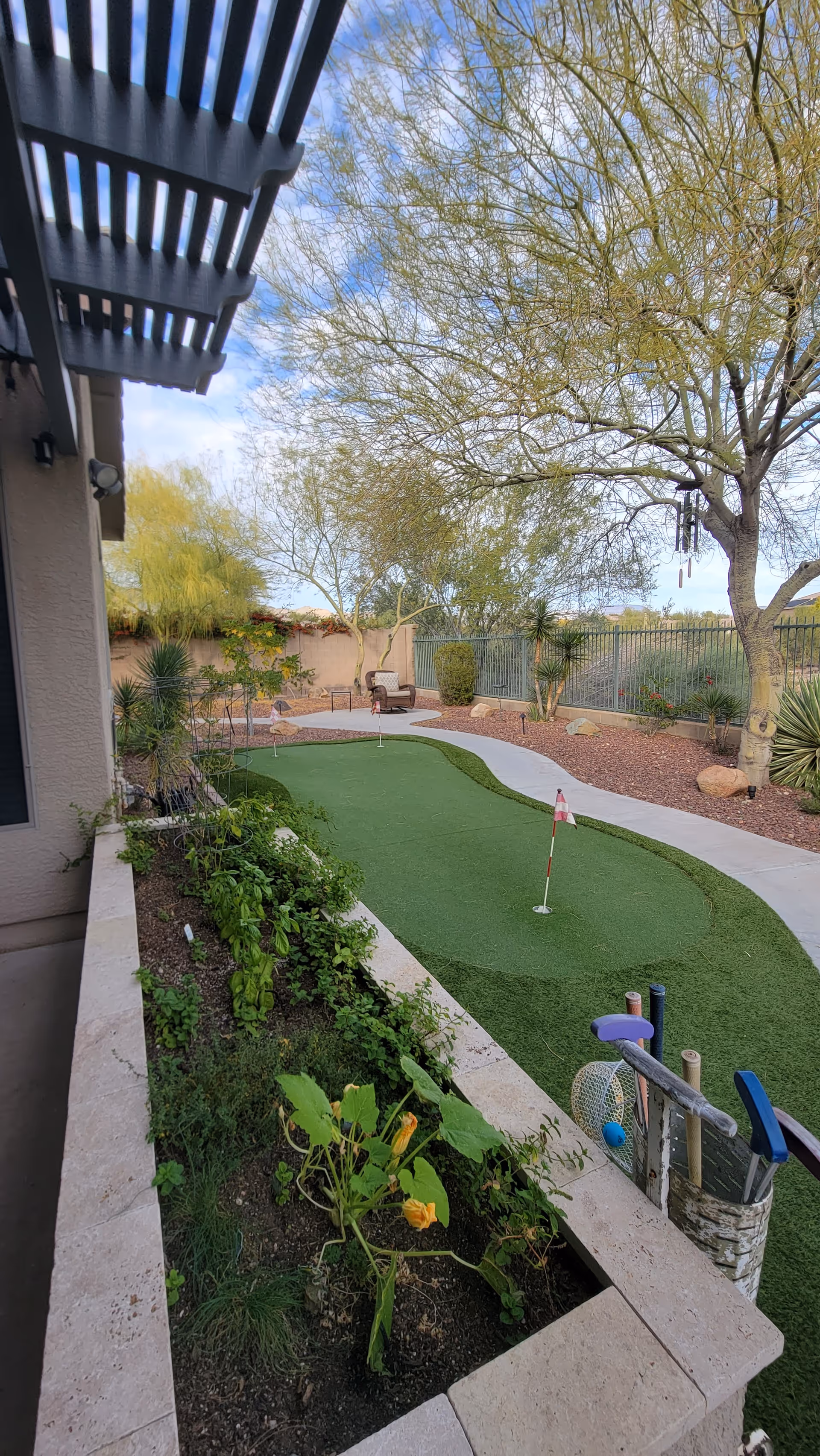 A backyard putting green with a small flag, golf clubs and balls, surrounded by desert landscaping, trees and a covered patio area.