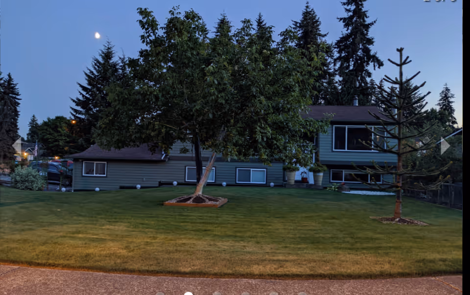 Single-story house with a large front lawn, two trees in the yard and evergreen trees in the background at dusk.