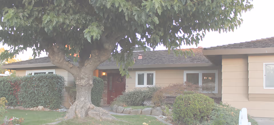 Exterior view of a single-story residential building with beige siding, a red front door, and several windows. There is a large tree with a thick trunk and green foliage in the front yard, along with various bushes and landscaped plants.