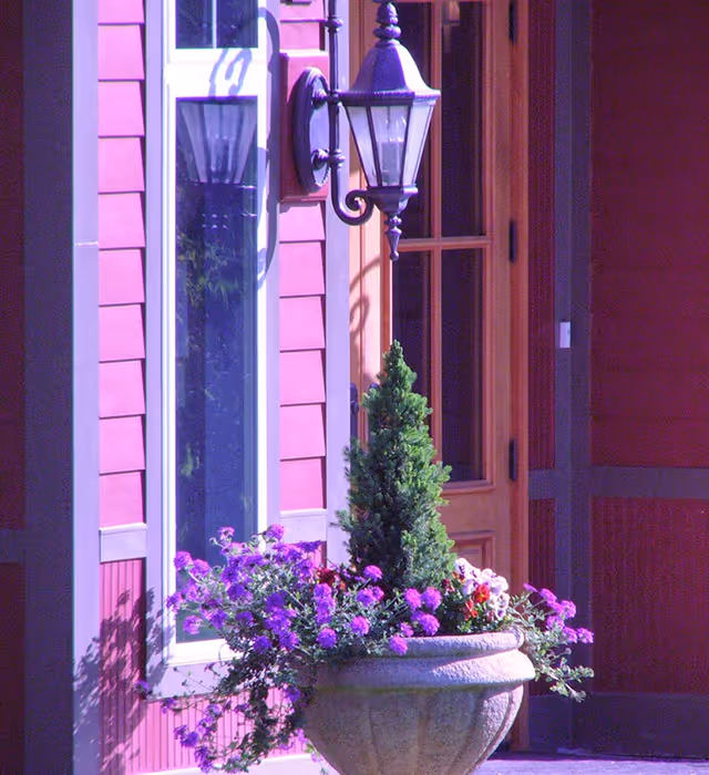 A decorative wall lantern next to a wooden door and window with a large planter of purple flowers in front of a red building facade.
