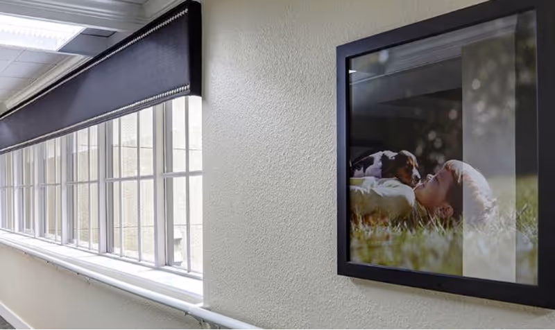 A hallway with large windows on the left side letting in natural light and a framed picture on the right wall showing a child lying on grass with a dog.