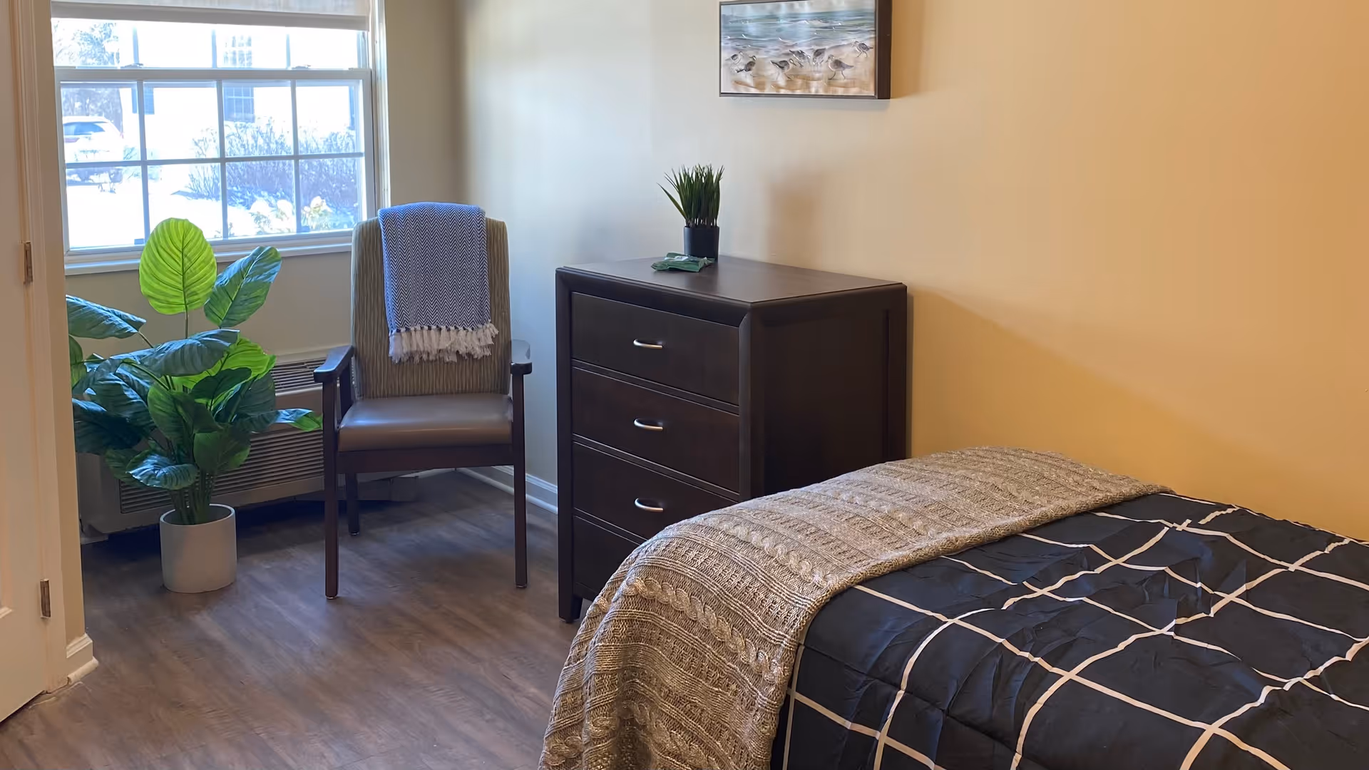 A cozy bedroom with a single bed covered in a black and white checkered blanket and a beige knitted throw. Next to the bed is a dark wooden dresser with three drawers, topped with a small potted plant and a folded item. A wooden chair with a cushion and a blue and white throw blanket is placed near a window with white blinds. A large green potted plant is beside the chair. The walls are painted light beige, and a framed picture of birds on a beach hangs above the dresser. The floor is wood laminate.