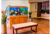 Interior view of a senior living facility featuring a large aquarium with colorful fish and aquatic plants on a wooden stand. In front of the aquarium is a wooden bench with a cushioned seat. The room has wooden flooring, a small side table with a plant, and a wall with windows and additional plants in wall-mounted planters.