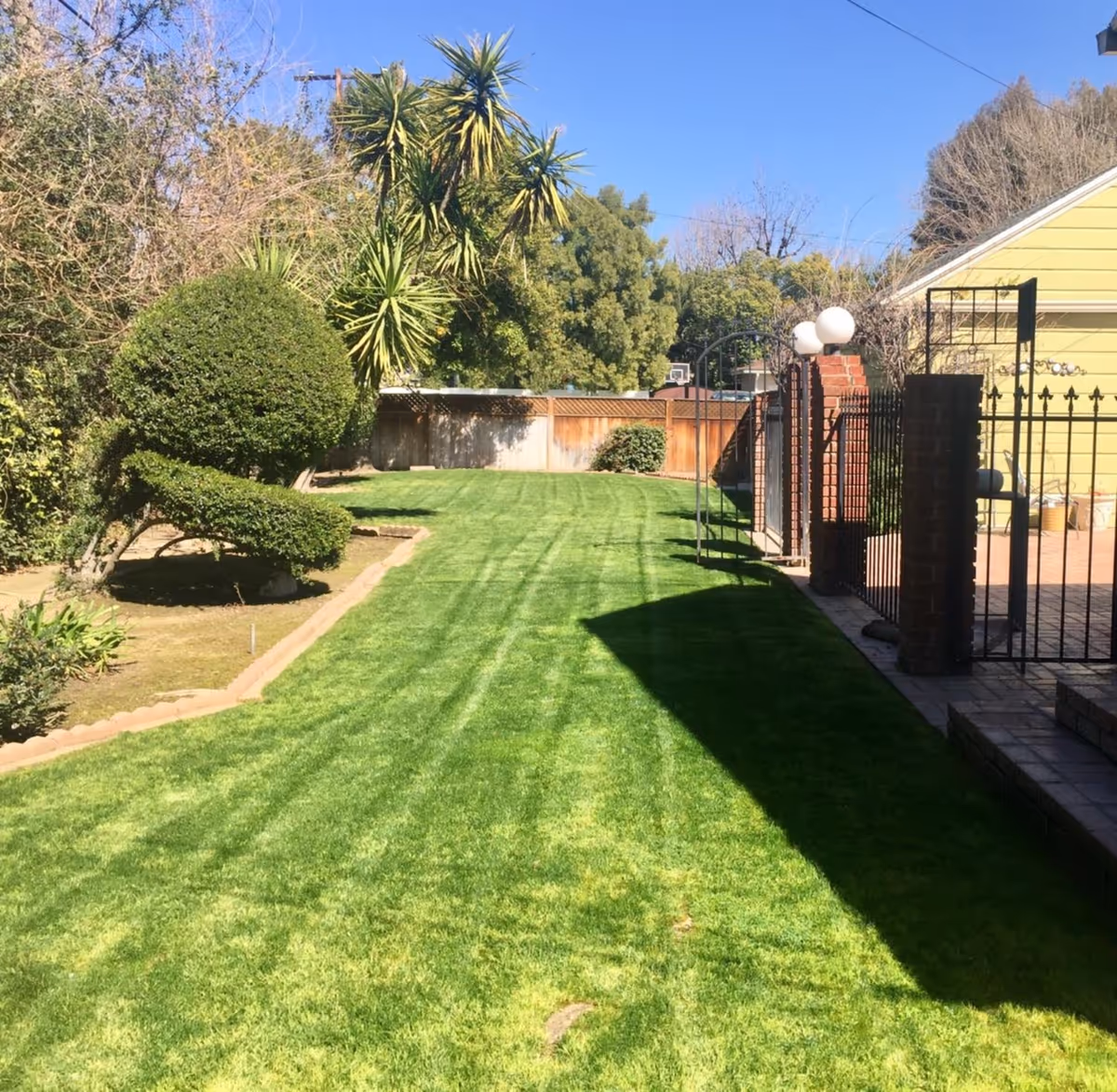 A well-maintained backyard with freshly mowed green grass, a neatly trimmed topiary bush shaped like a bird, various trees and shrubs along the fence, a brick patio area with a black metal gate and fence, and a clear blue sky overhead.