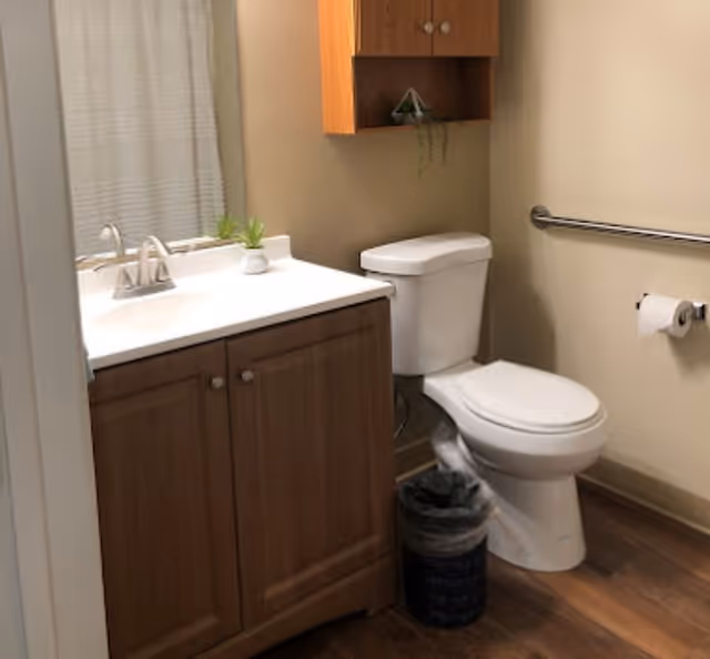 A small bathroom with a white toilet, a wooden vanity with a white countertop and sink, a mirror above the sink, a small plant on the countertop, a wooden wall cabinet with a small plant inside, a grab bar on the wall next to the toilet, a toilet paper holder with a roll of toilet paper, and a small trash can on the wooden floor.