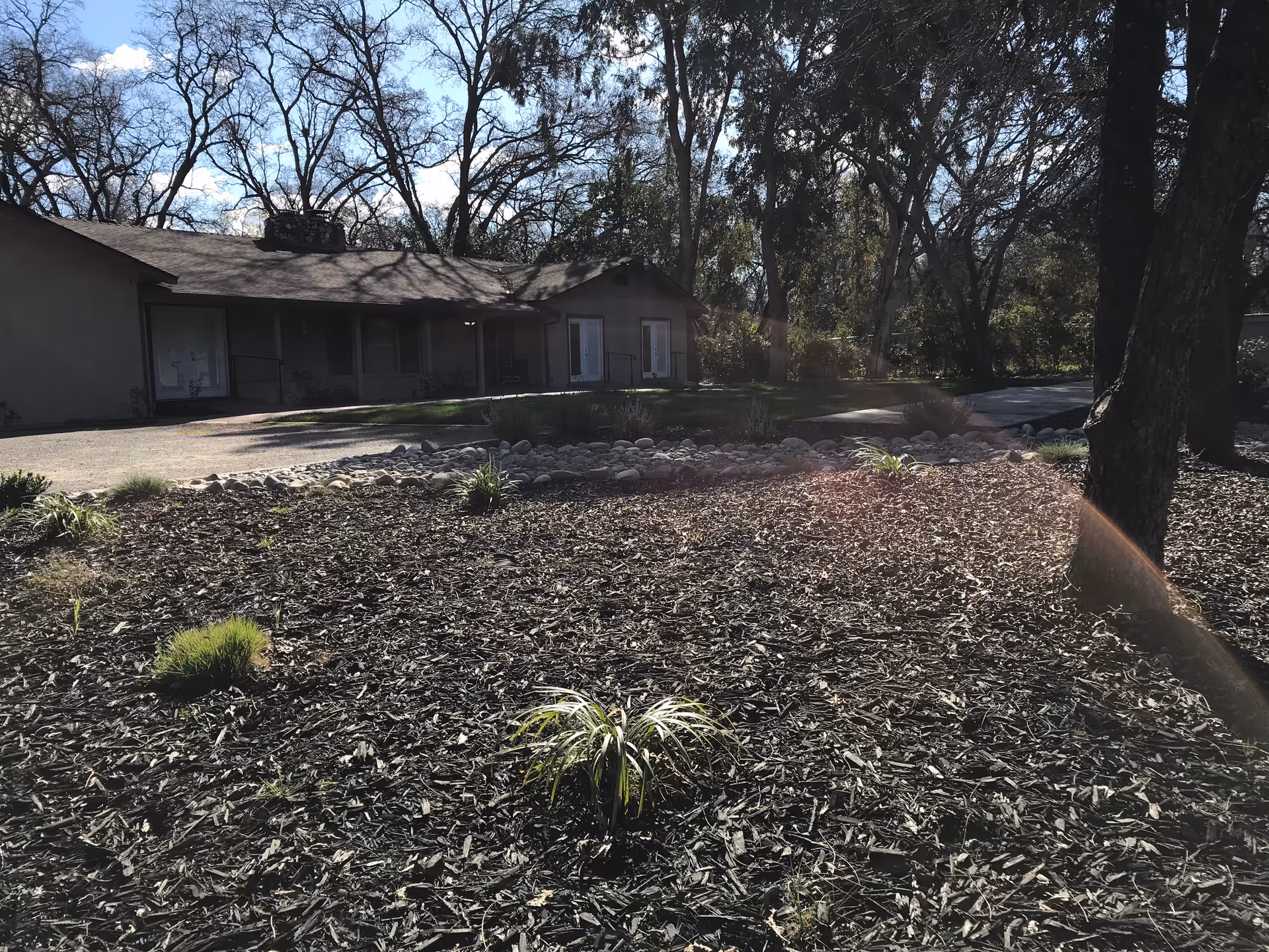 Outdoor view of a senior care facility building with a garden area in the foreground covered with mulch and small plants. Large trees surround the area, and the sky is partly cloudy with sunlight casting shadows.
