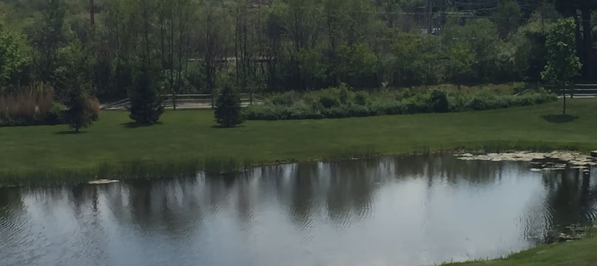 A serene outdoor scene featuring a small pond surrounded by green grass and trees with a wooden fence in the background.
