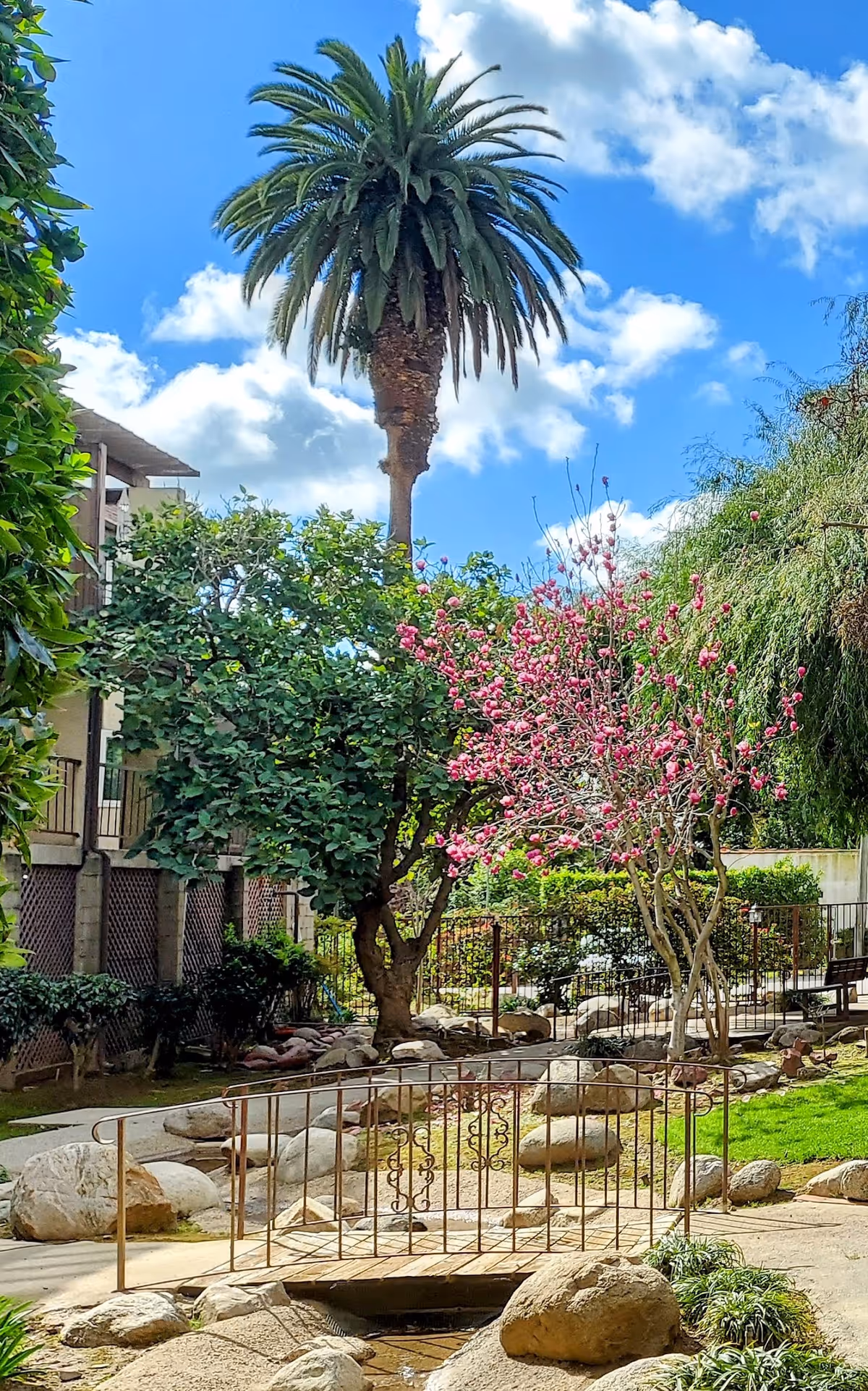 Photo 10 of Oaks of Pasadena