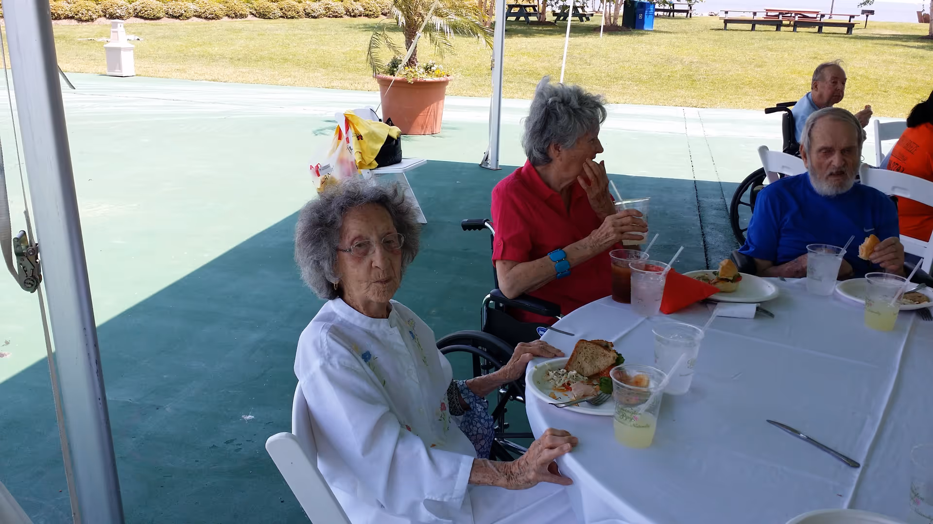 A group of elderly people sitting around a table outdoors under a canopy, eating and drinking. One woman in a white top is seated closest to the camera, while others are seated around the table with plates of food and drinks. The background shows a grassy area with picnic tables and a potted plant.