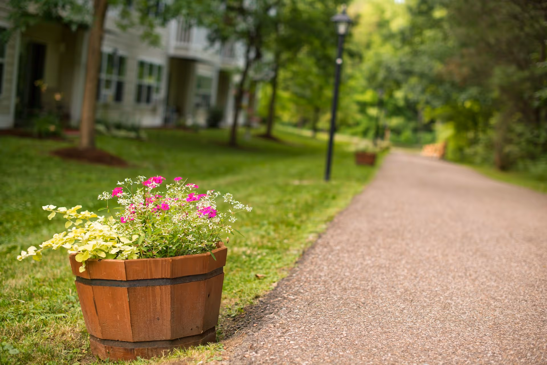 A wooden planter of pink and white flowers sits beside a paved walkway with grass, lamp posts, and residential buildings in the background.