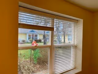 View through a window with white blinds partially open, showing a garden area with green grass, bushes, and a yellow building with white trim in the background.