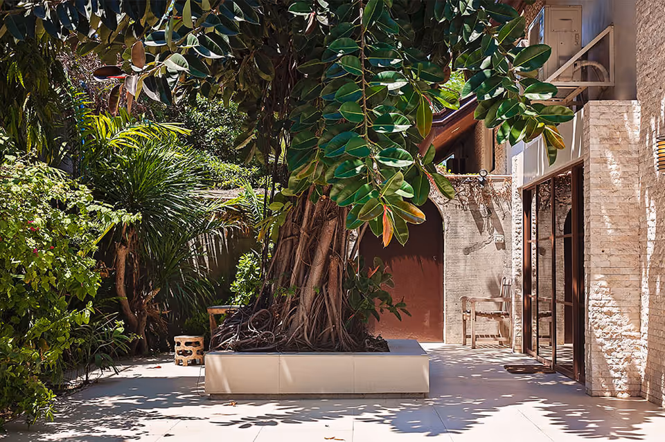 Sunlit courtyard patio with a large tree in a raised planter beside a building with glass doors and stone walls.