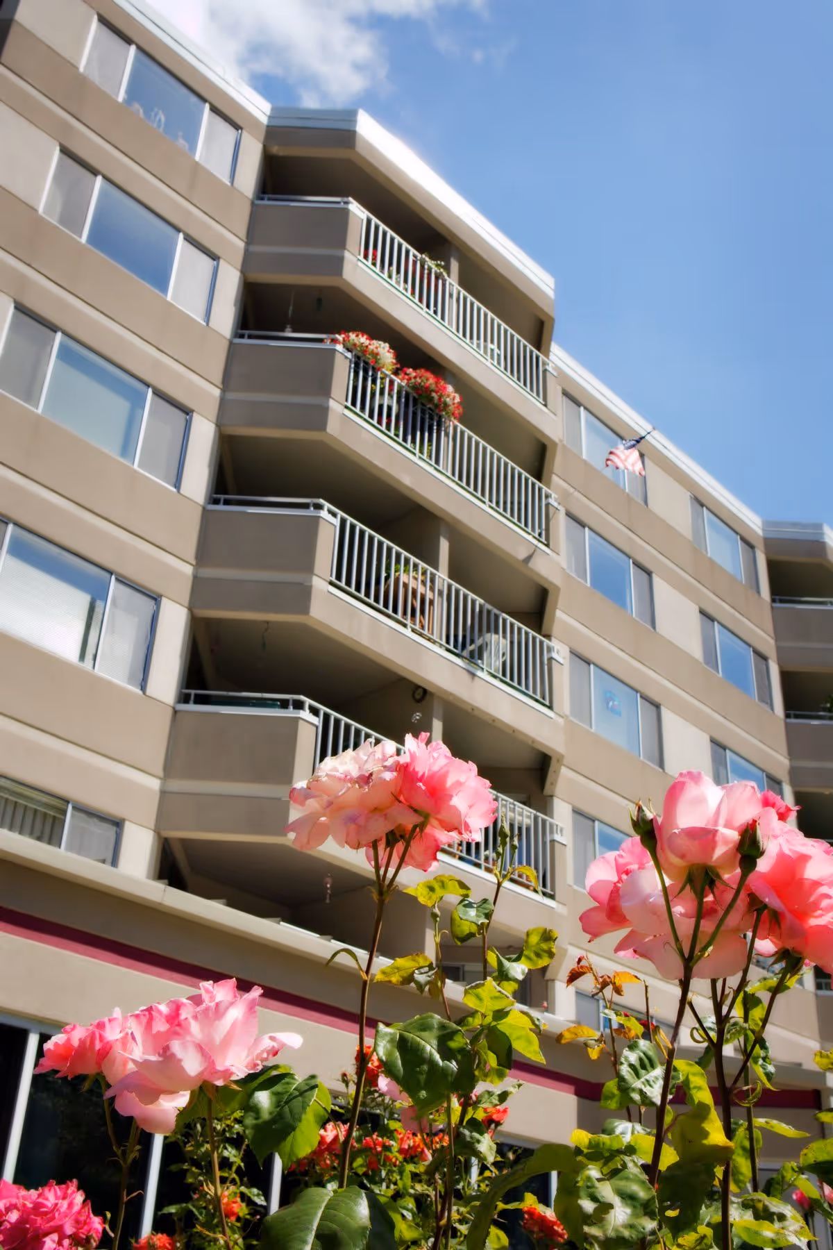 The exterior of the CRISTA building featuring multiple balconies adorned with flowers, with pink roses in the foreground and a clear blue sky.