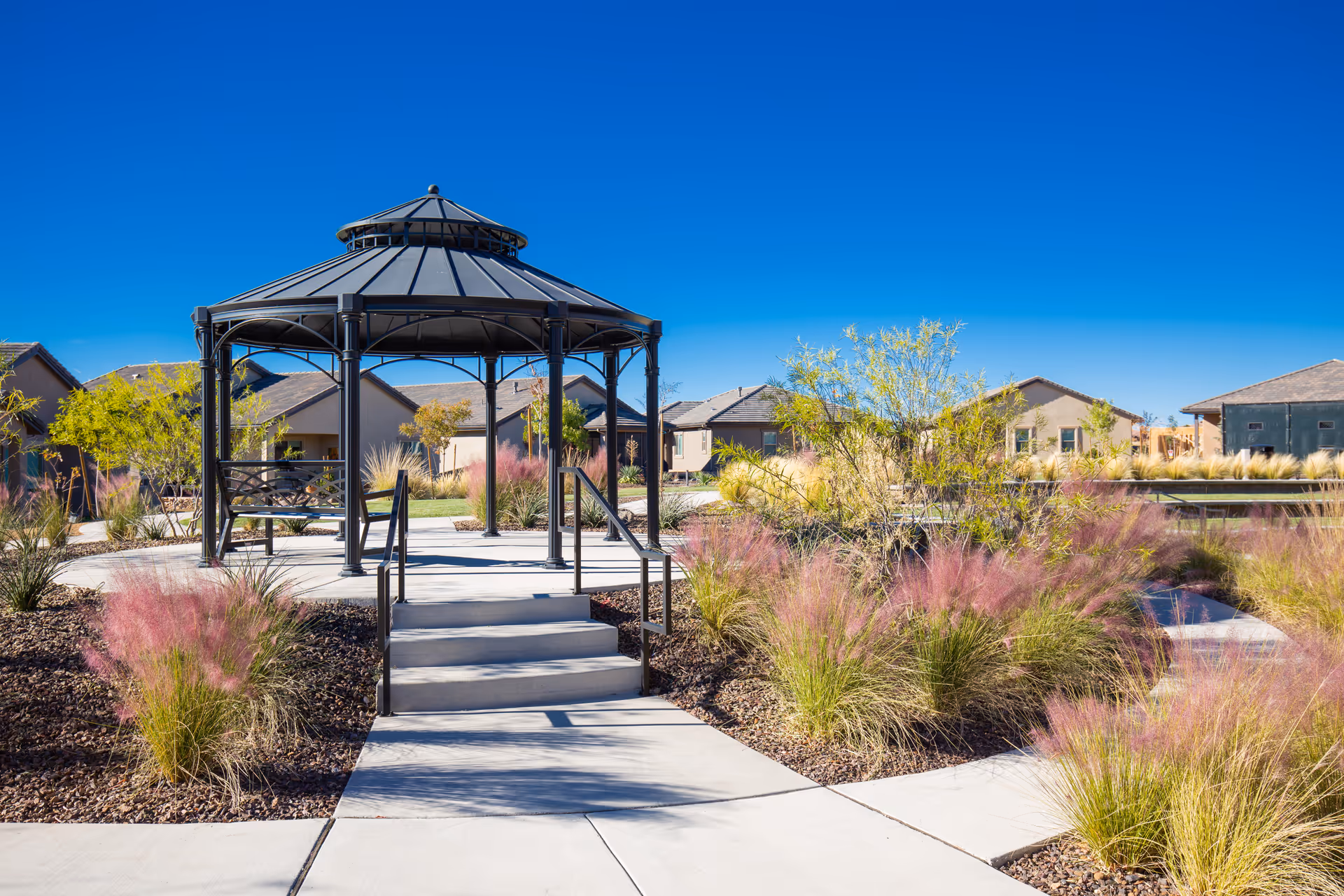 Outdoor garden area with a black metal gazebo at the center, surrounded by landscaped plants with pink and green foliage, concrete walkways, and residential buildings in the background under a clear blue sky.