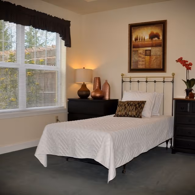 A neatly made single bed with a white quilt and a decorative pillow in a bedroom. The bed has a metal headboard with brass accents. Next to the bed is a black nightstand with a lamp and decorative vases. On the wall above the bed is a framed artwork featuring trees and abstract patterns. A window with blinds and a dark valance lets in natural light, and there is a small dresser with a red orchid plant on the right side of the bed.