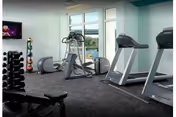 Fitness room with treadmills, an elliptical, free weights and a bench by large windows overlooking greenery.