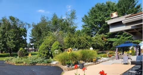 Outdoor garden area with various green shrubs, trees, and plants surrounding a paved walkway and patio space with chairs and a blue umbrella under a clear blue sky.