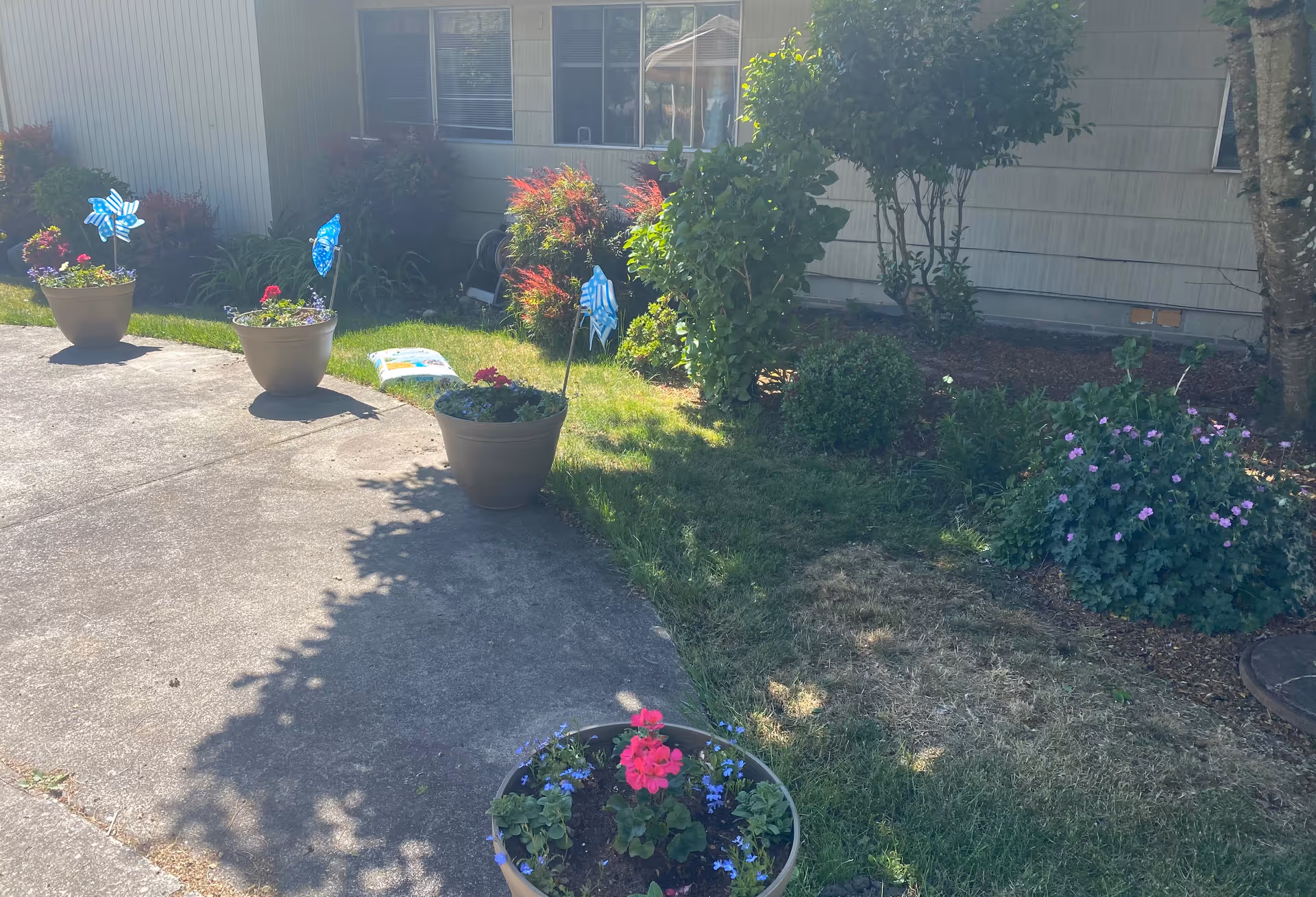 Small outdoor garden and concrete walkway with potted flowers and decorative pinwheels in front of a single-story building.