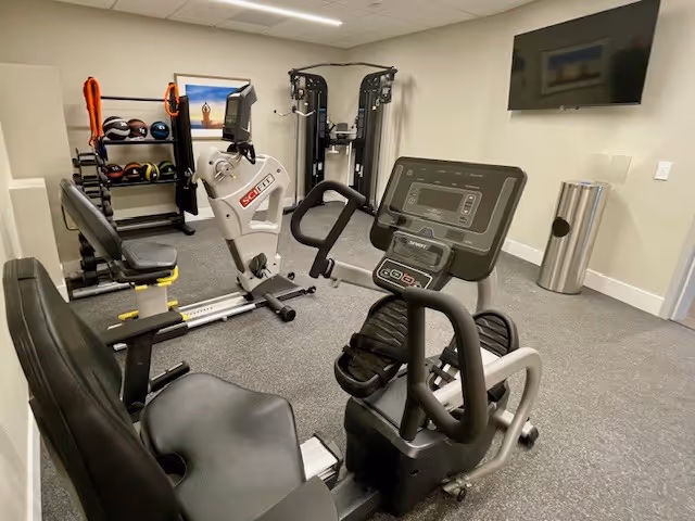 Indoor fitness room with exercise equipment including a recumbent bike, rowing machine, weight bench, and a rack of medicine balls. A flat-screen TV is mounted on the wall, and a framed picture hangs on the far wall.