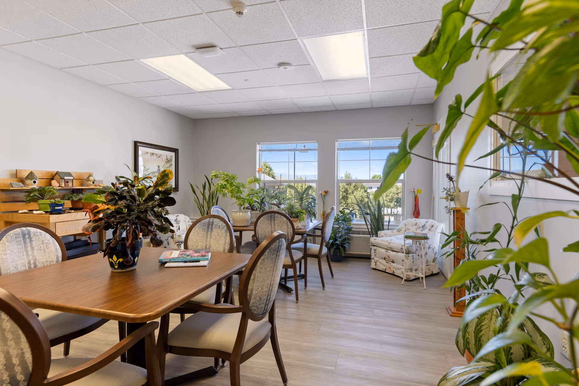 A bright and cozy common room in a senior living facility with wooden tables and upholstered chairs. The room features several potted plants on tables and along the walls, large windows letting in natural light, a floral armchair with a small side table, and a wooden shelf with small decorative birdhouses and more plants.