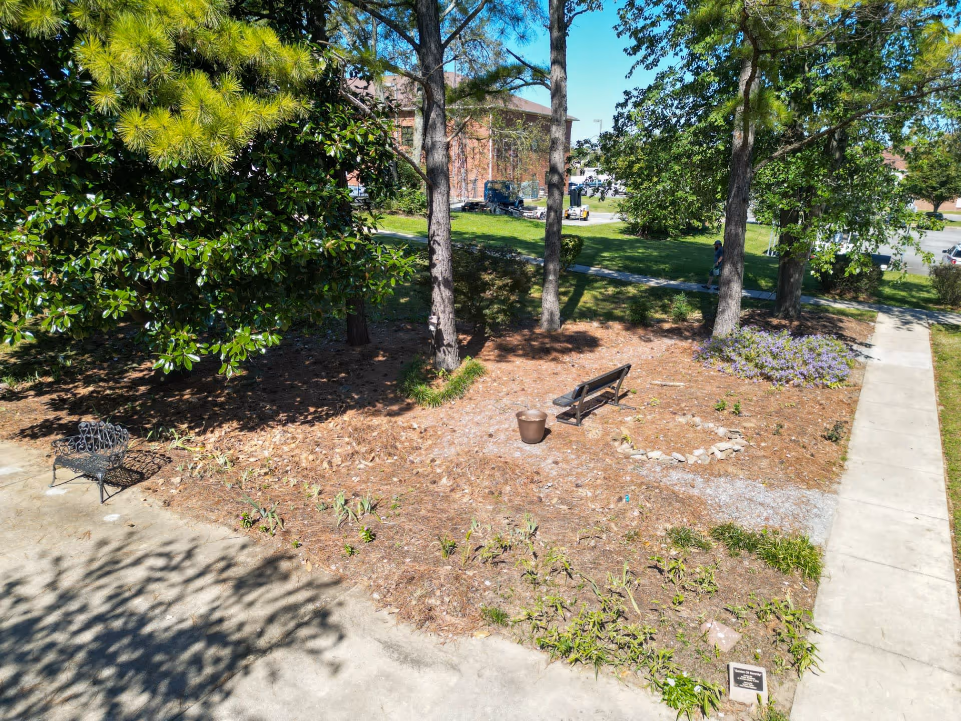 Outdoor courtyard with trees, a small bench, a potted plant and a concrete walkway.