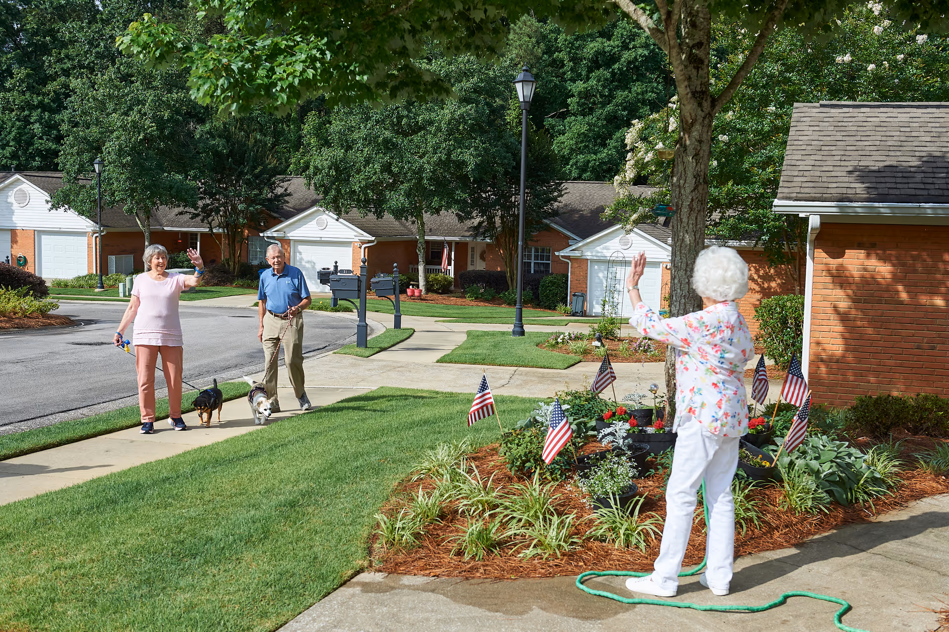 Three elderly people outside in a residential neighborhood. Two of them, a man and a woman, are walking dogs on a sidewalk and waving. Another woman with white hair, wearing a floral shirt and white pants, is standing near a flower bed with small American flags and waving back. The area is surrounded by trees and brick houses with garages.