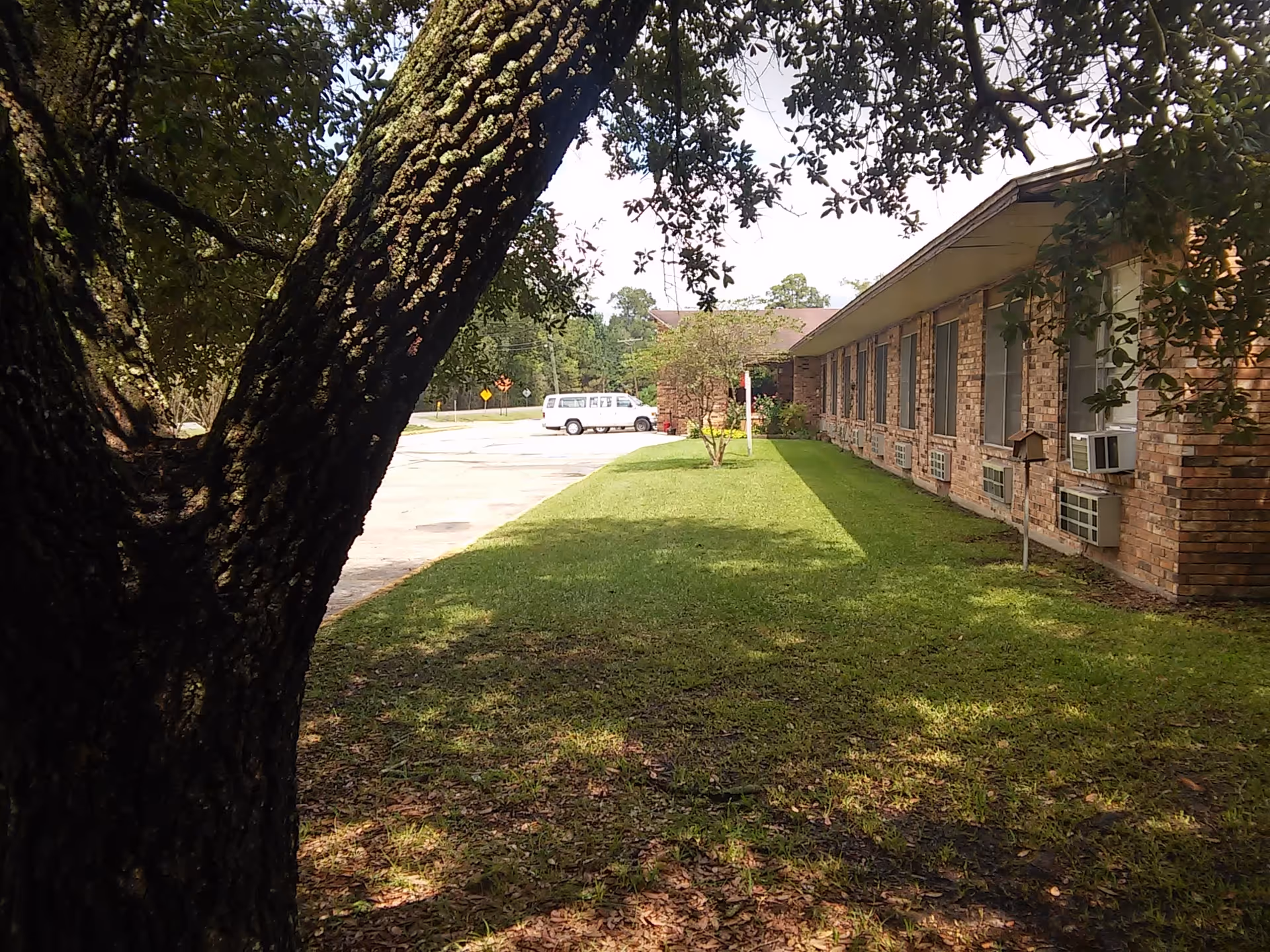 View of the side of a brick building with multiple windows and window air conditioning units. A grassy area with a small tree is in front of the building, and a large tree trunk is visible in the foreground on the left. A parking lot with a white van is seen in the background.
