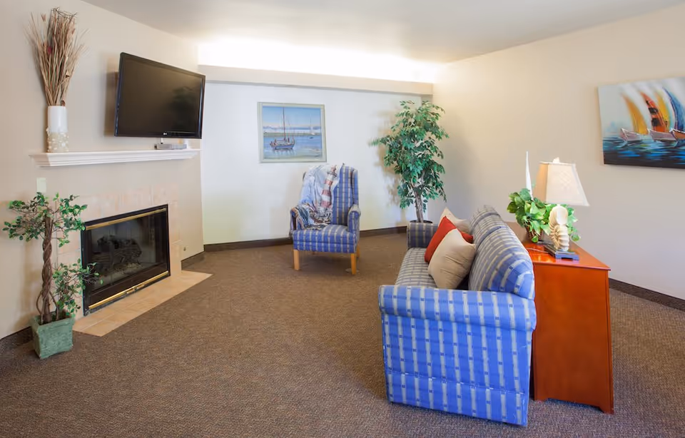 A cozy living room with a blue checkered sofa and matching armchair, a wooden side table with a lamp and plant, a fireplace with a TV mounted above it, and two framed paintings on the walls. The room is carpeted and has a potted plant near the fireplace and another near the armchair.