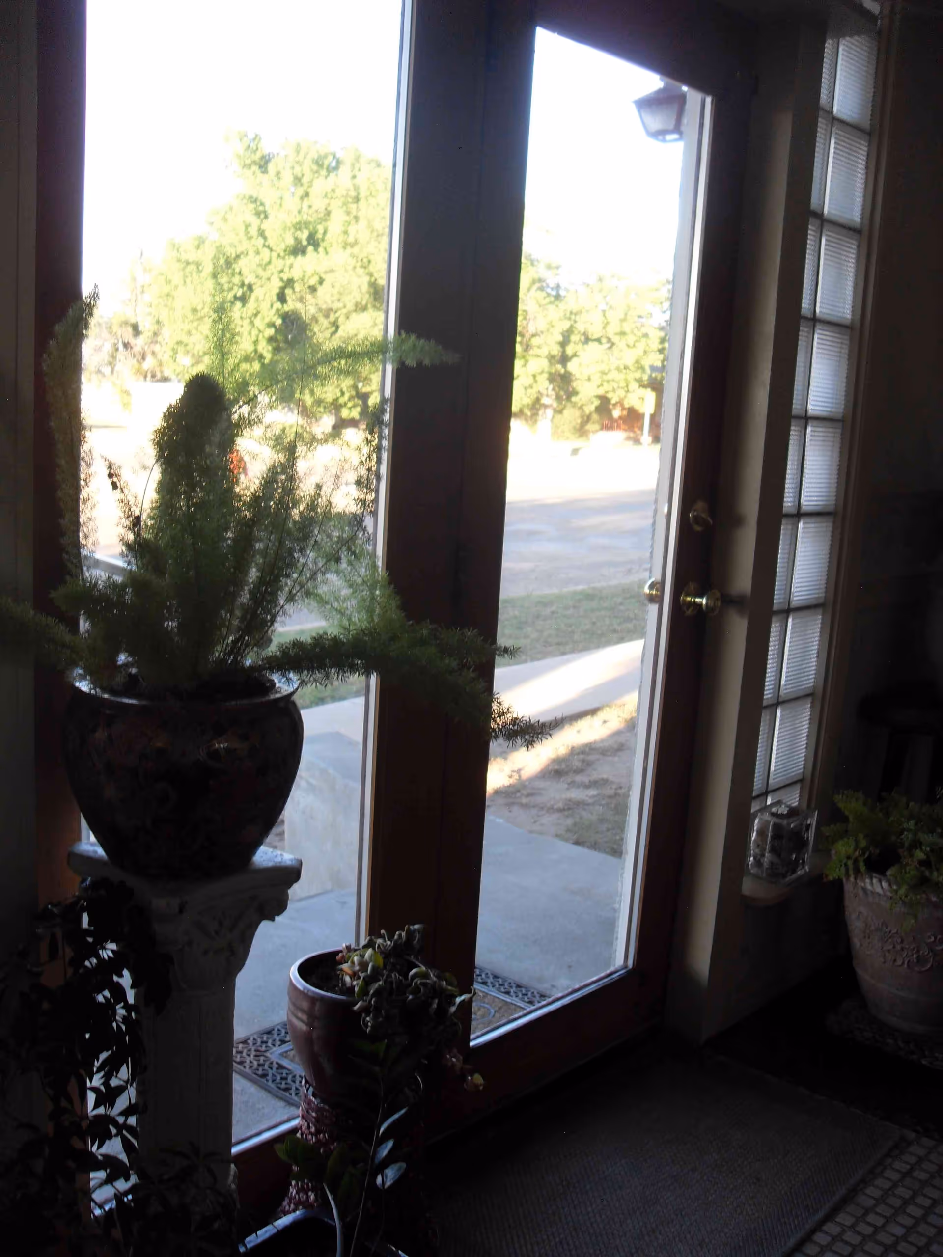 View of a glass door leading outside with sunlight shining through. Several potted plants are placed near the door inside the room, including a large fern on a pedestal and other smaller plants on the floor and a small table.