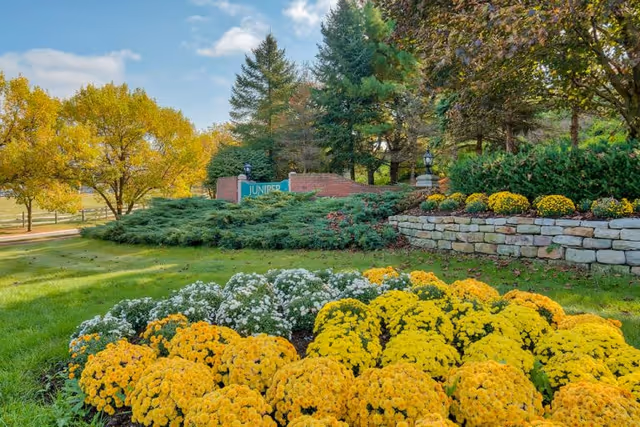 A landscaped outdoor area with vibrant yellow and white flowers in the foreground, green grass, shrubs, and trees with autumn foliage. A brick sign partially visible in the background reads 'Juniper'.
