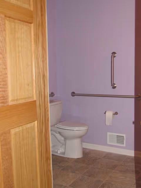Purple-walled bathroom with a toilet, grab bars, and toilet paper holder.