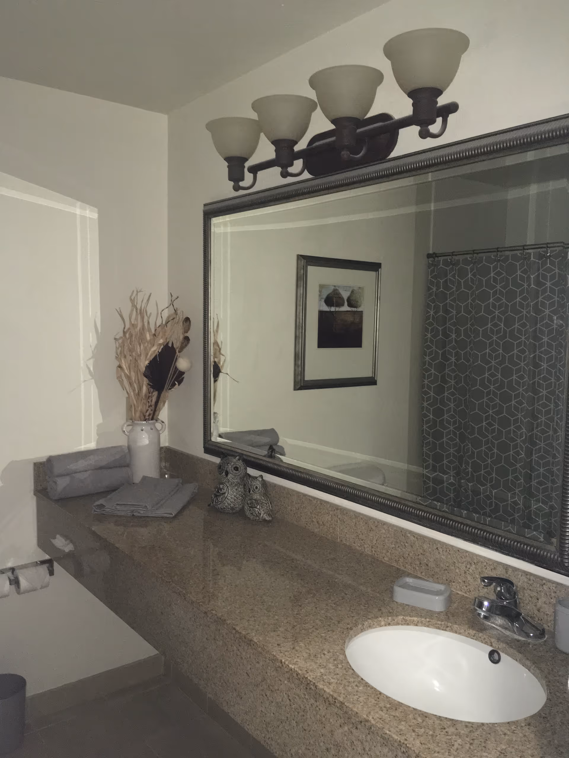 A bathroom countertop with a large mirror above it. The countertop has a sink, a soap dish, two decorative owl figurines, and a vase with dried plants. There are folded towels on the left side of the countertop. A framed picture and a shower curtain with a geometric pattern are visible in the mirror's reflection.