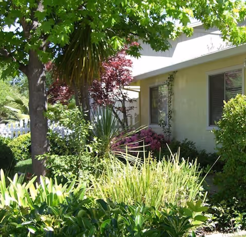 A lush garden area with various green plants, bushes, and trees in front of a light-colored building with windows. The scene is bright and sunny, showcasing a well-maintained outdoor space.
