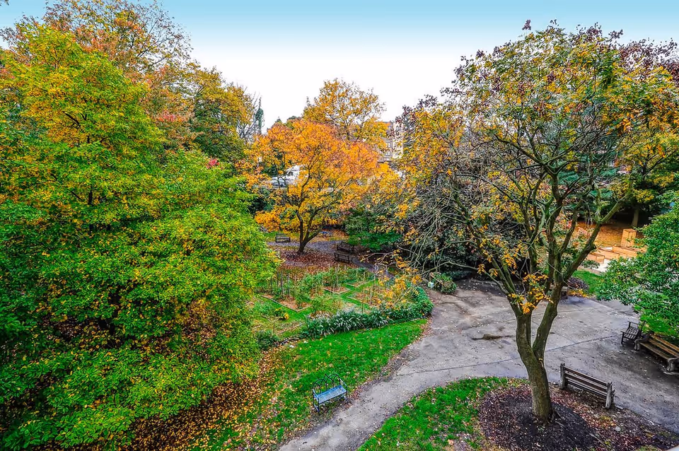 A vibrant outdoor garden area with a variety of trees showing green and autumn foliage. There are several benches along paved pathways and a small fenced garden plot in the middle. The scene is peaceful and surrounded by greenery.