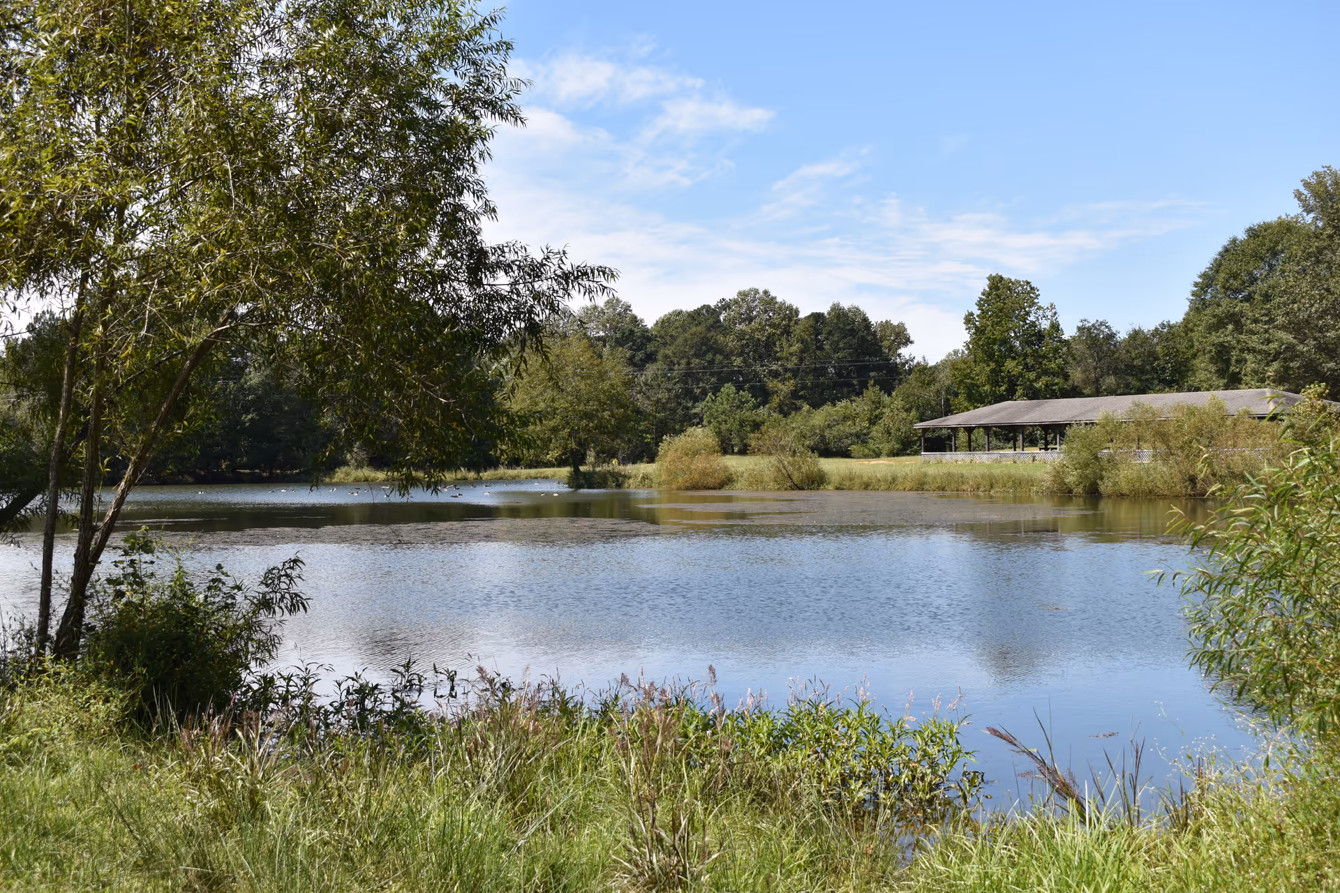 A peaceful outdoor scene featuring a calm pond surrounded by green trees and grass under a partly cloudy blue sky. There is a covered pavilion structure visible on the far side of the pond.