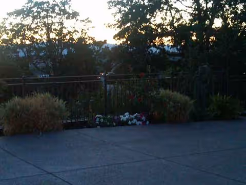 Patio outdoor area with railing, planters, and flowers at dusk.
