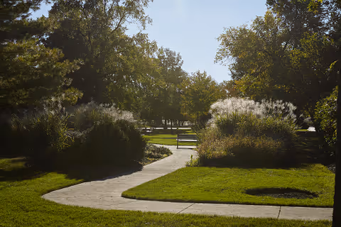 A winding concrete pathway through a green park area with well-maintained grass, bushes, and trees under a clear sky.